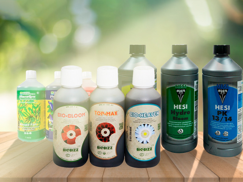 Как подобрать удобрения для конопли? Удобрения для выращивания конопли. Что выбрать?