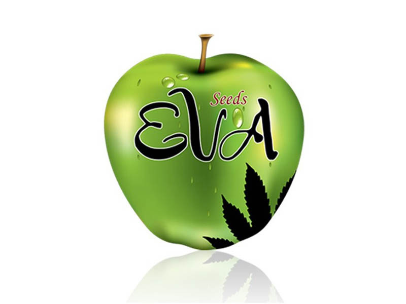 Компания Eva Seeds Eva Seeds