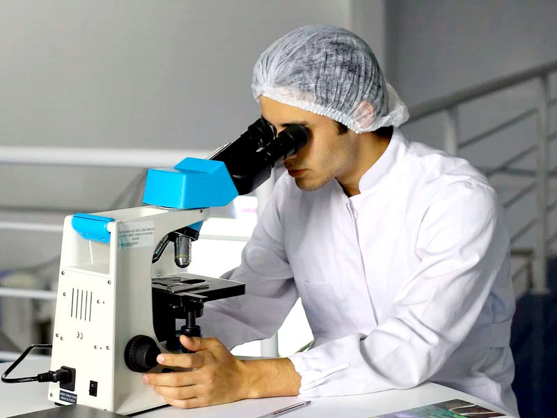 Изучение запаха конопли учеными Изучение запаха конопли учеными