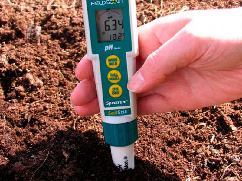 Измеряйте кислотность почвы для конопли Кислотность земли для конопли