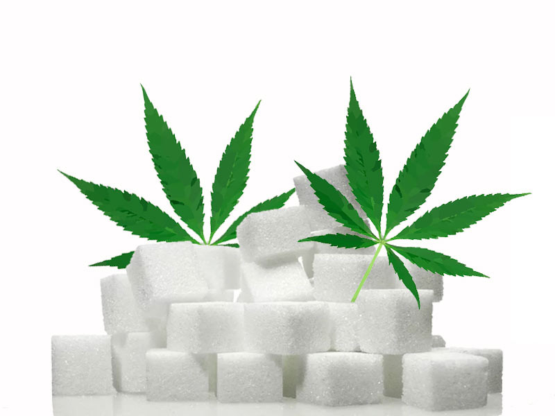 Конопля и сахар Влияние сахара на рост конопли