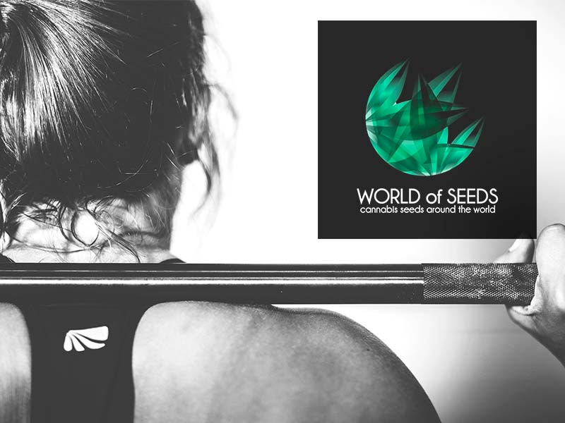 Подборка мощных сортов от World of Seeds World of Seeds мощная подборка