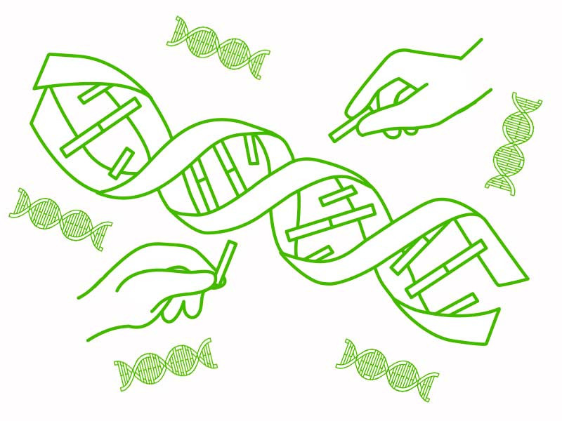 Обратное скрещивание Обратное скрещивание