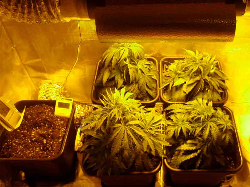 Минусы ламп ДНаТ Отрицательные стороны ДНаТ