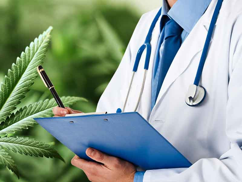 Польза от марихуаны Польза от марихуаны