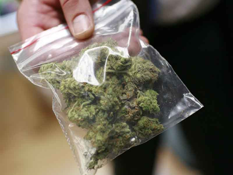 Пониженная урожайность у автоцветов Маленький урожай