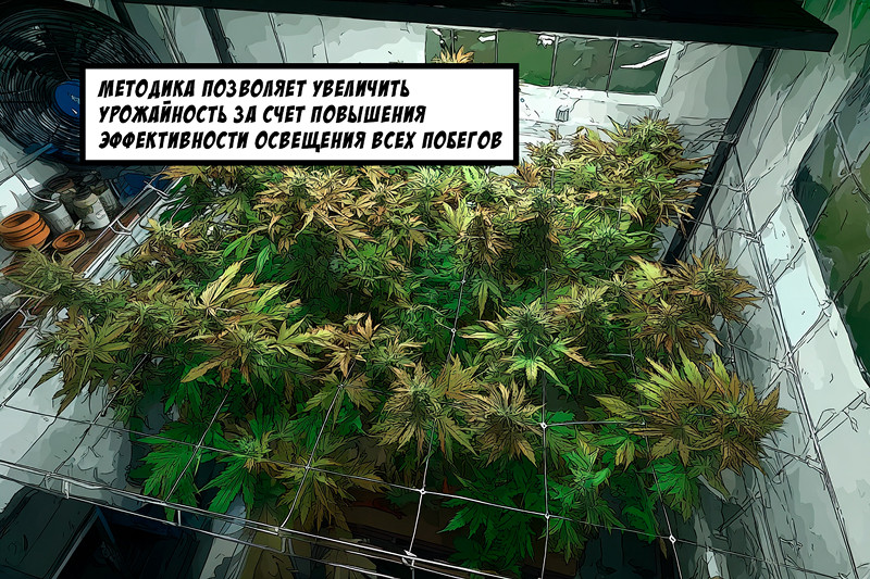 В чем смысл метода Screen of Green?