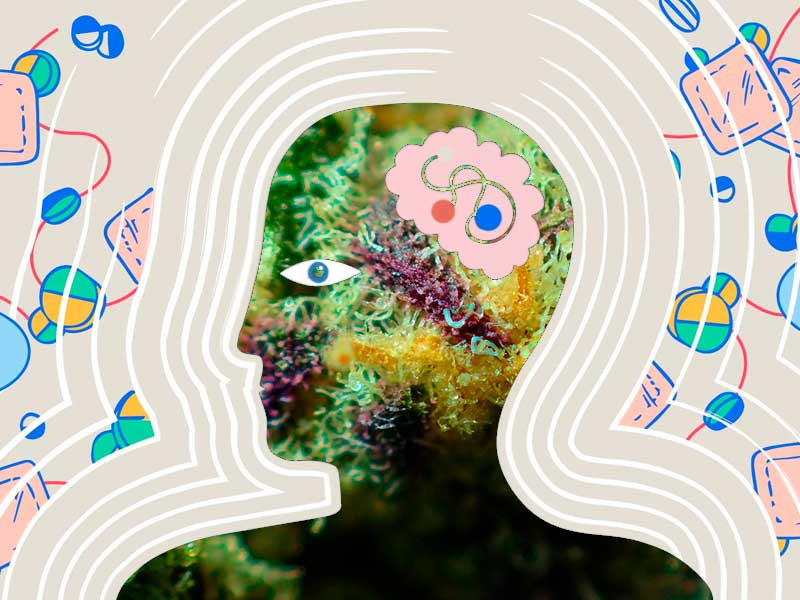 Влияние марихуаны на синдром Туретта Патологии нервной системы