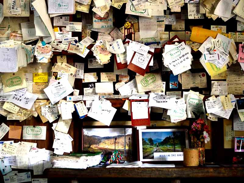 Термины и понятия из канна-мира Термины при выращивании марихуаны