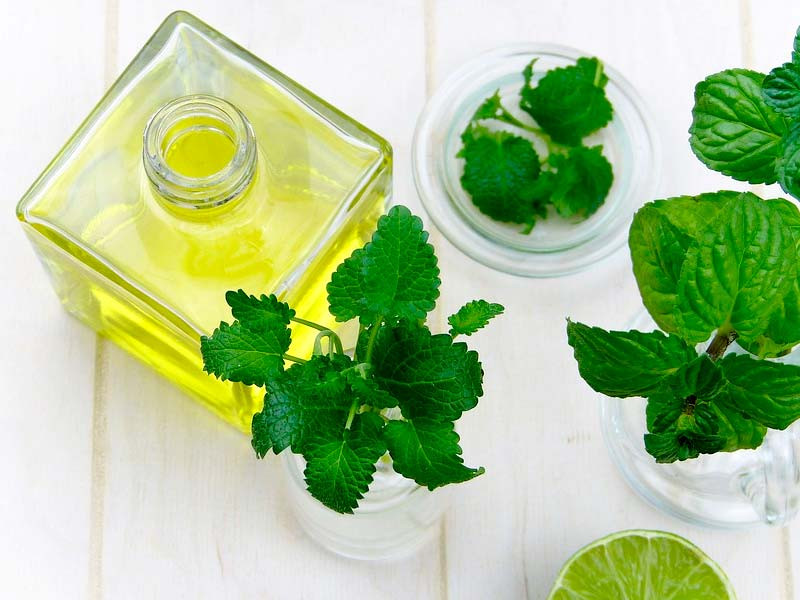 Ароматизация каннабиса с помощью эфирных масел Ароматизация бошек эфирным маслом