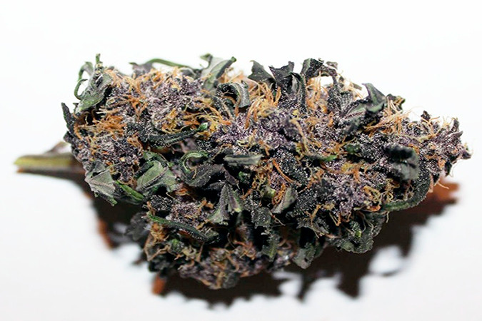 Приятный аромат сорта каннабиса LSD-25 auto Мощный и психоделический сорт конопли LSD-25 auto от FastBuds