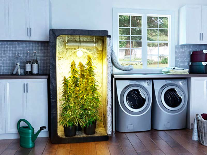 Спрячьте инвентарь для грова Инвентарь гровера