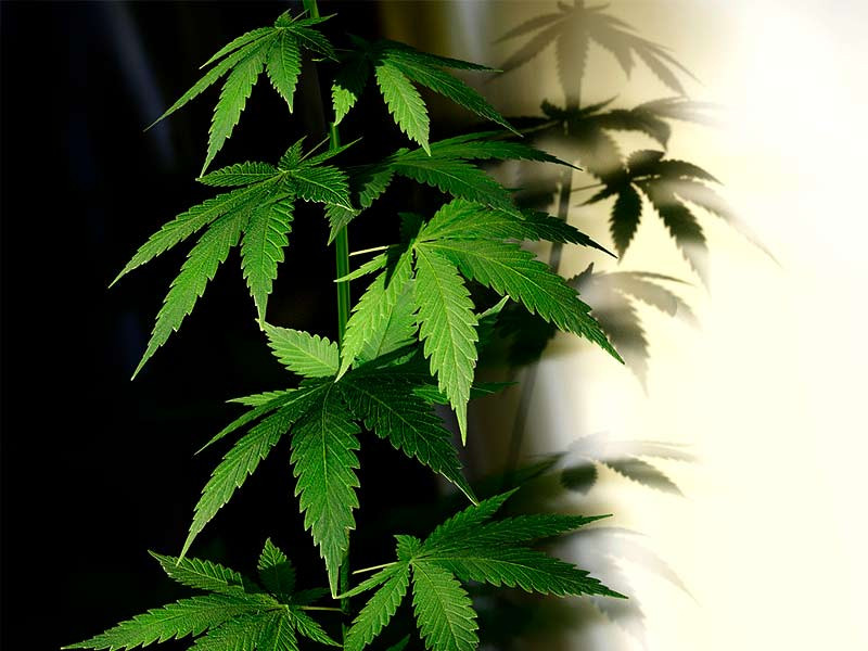 Положительные стороны ночного гровинга Ночной гровинг