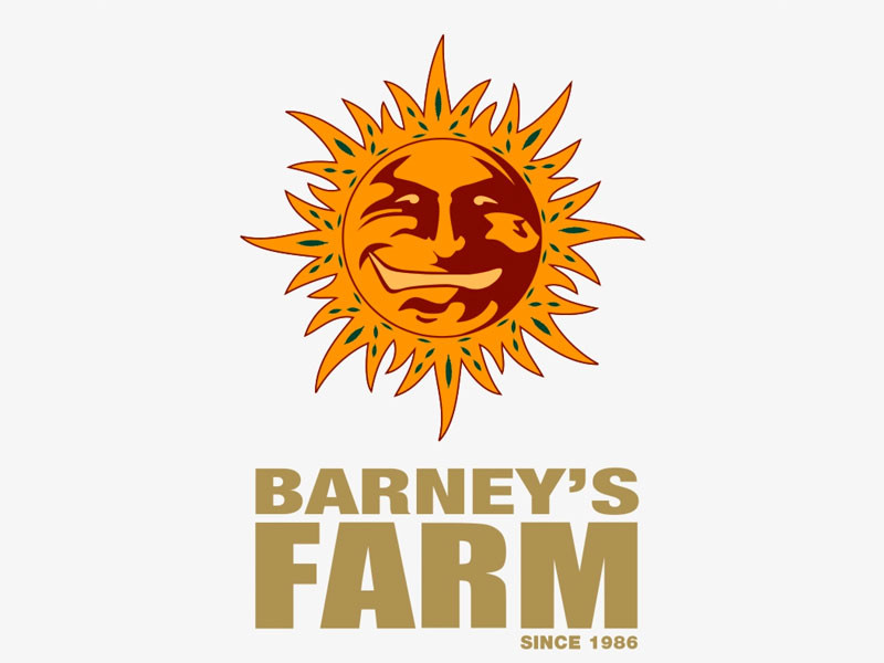 Знаменитый сидбанк Barney’s Farm Сидбанк Barney’s Farm