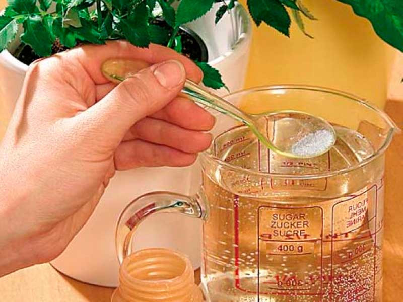 Сахарная подкормка конопли Сахарная добавка для почвы