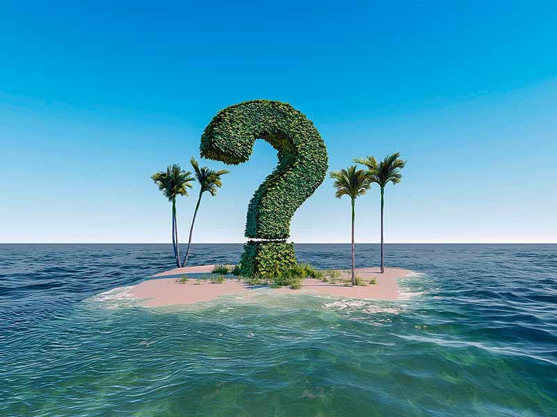 Фотик или Автик для новичка Что выбрать?