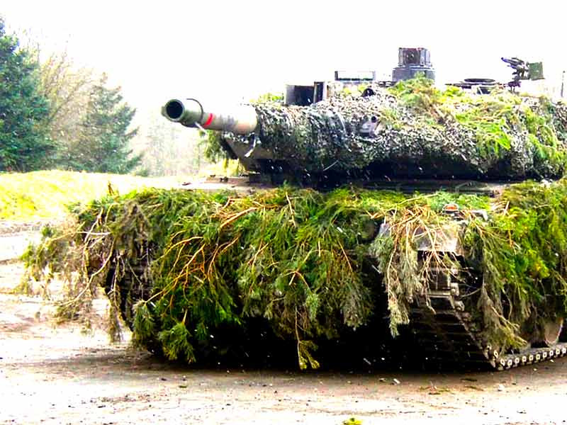 Замаскируйте свой транспорт маскировка транспорта